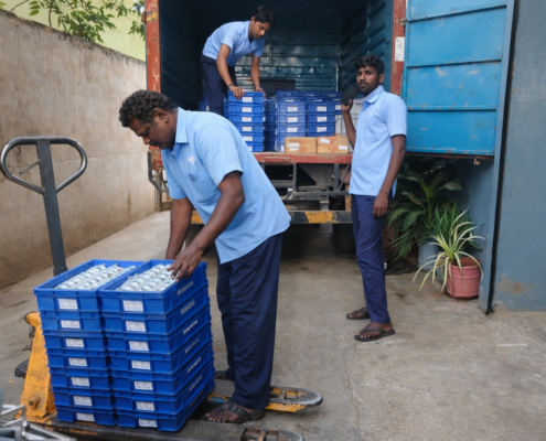 e3e8db71-6910-4828-bd6a-50ccaae2fb7f